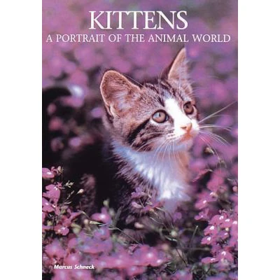 Afbeelding van Kittens