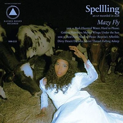 Afbeelding van Spelling Mazy Fly (LP)