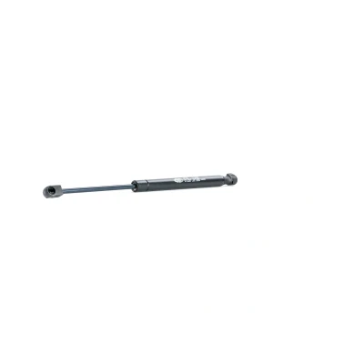 Afbeelding van Magneti Marelli Gasveer 430719079400