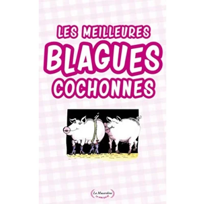 Afbeelding van Les meilleures blagues de cul