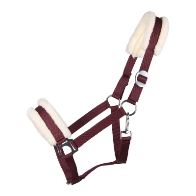 Image de QHP Halter Cali