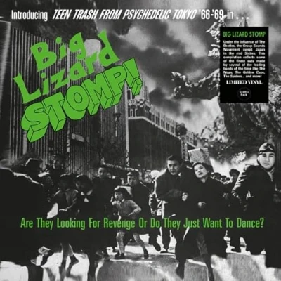Afbeelding van Various Artists Big Lizard Stomp (LP)