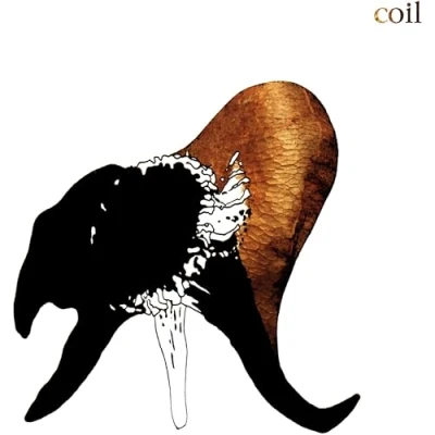 Afbeelding van Coil Black Antlers (CD)