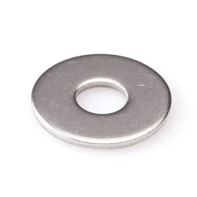 Afbeelding van Carrosseriering rvs A2 M10x30x2.5mm DIN9021