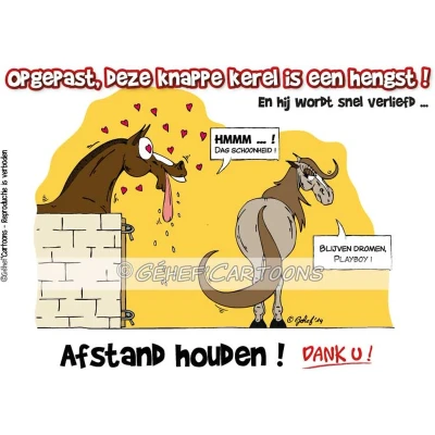 Afbeelding van HB Stalplaat Hengst