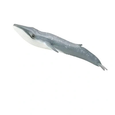 Afbeelding van Collecta Speelfiguur Dwergvinvis Grijs 20 X 6 Cm