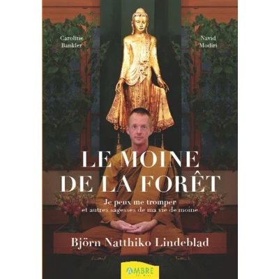 Image de Le moine de la forêt Je peux me tromper et autres sagesses ma vie