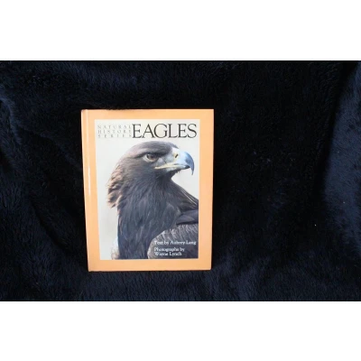 Afbeelding van Eagles