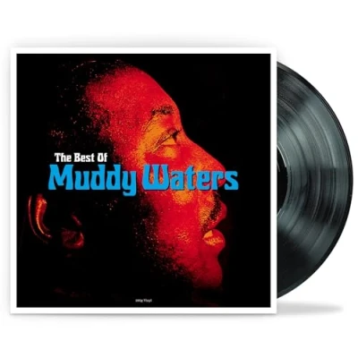 Afbeelding van The Best of Muddy Waters