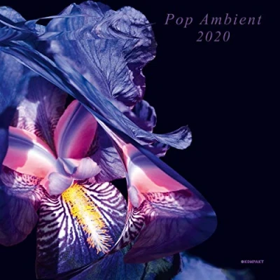 Afbeelding van Pop Ambient 2020