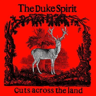 Afbeelding van Cuts Across The Land