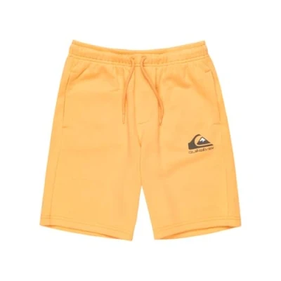 Afbeelding van Quiksilver Easy Day Jogger Shorts Youth trainingspak voor jongens (1 stuk)