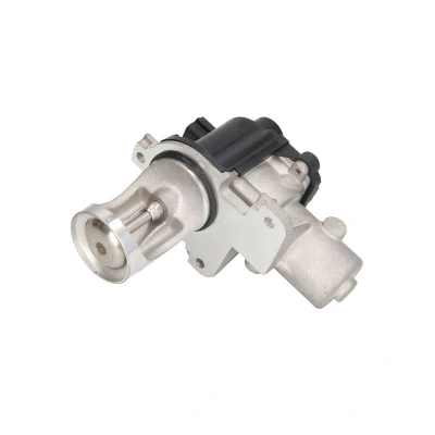 Afbeelding van EGR klep MAGNETI MARELLI 571822112079