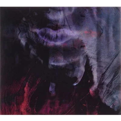 Afbeelding van Hante. Fierce Remixes &amp; More (CD)