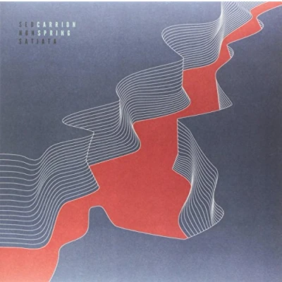 Afbeelding van Split (LP)