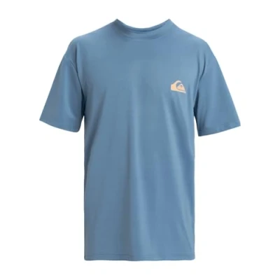 Afbeelding van Quiksilver Everyday SURF TEE SS Tshirt basic, Heren, Maat: XXL, Blq