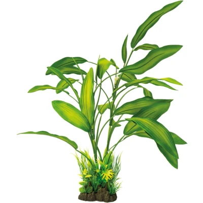 Afbeelding van Superfish Art Plant Cryotocornye 40cm