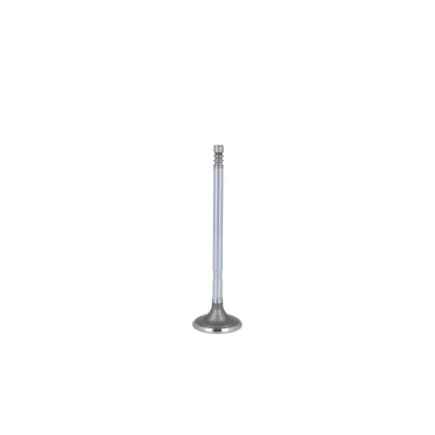 Afbeelding van IPSA VL143100 Inlaatklep 30,3 Verchroomde klepsteel
