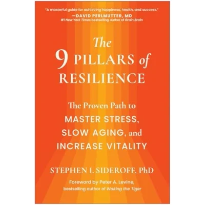 Afbeelding van The 9 Pillars of Resilience