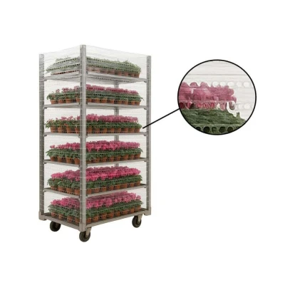 Afbeelding van Kortpack Handrollen Gatenfolie 300 Mtr 48 Cm X 17 My Eenzijdig Klevend Transparant (8 Rollen)