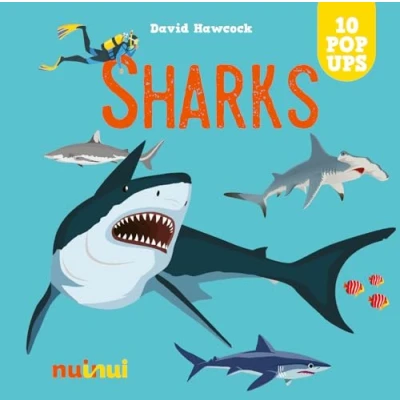 Afbeelding van Amazing pop ups Sharks
