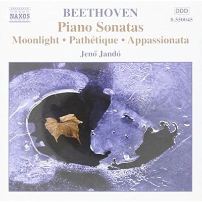 Afbeelding van Various Artists Beethoven: Piano Sonatas 1 (CD)
