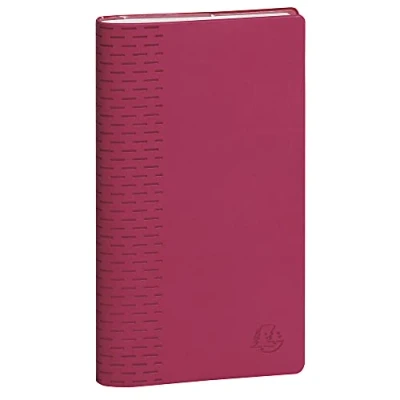 Afbeelding van Exacompta 17246E SAS 17 Winner zakagenda 9 x 17,5 cm september 2024 tot augustus 2025 Verschillende kleuren