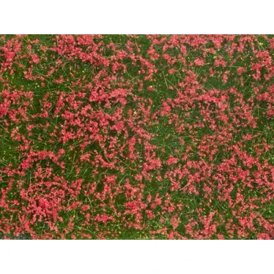 Afbeelding van NOCH 07257 Bodembedekker Landschap bouw Rood