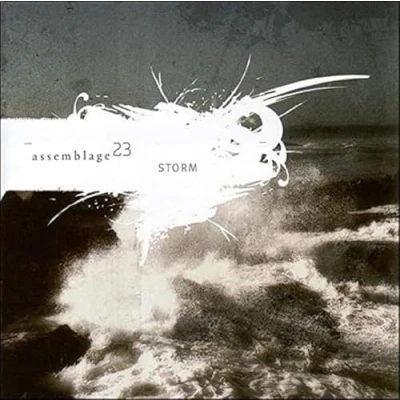 Afbeelding van Assemblage 23 Storm (CD)