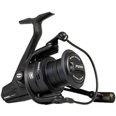 Afbeelding van PENN Rival Longcast Black 8000 Vismolen