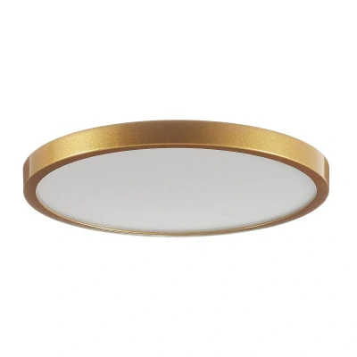 Afbeelding van Ronde LED plafondlamp Vika 30 cm