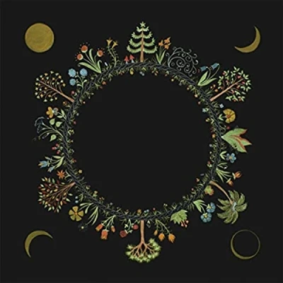 Afbeelding van Laura Stevenson Wheel (LP)