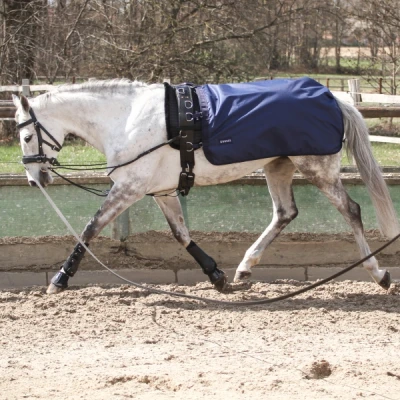 Image de Busse Lunging Rug Rain 50