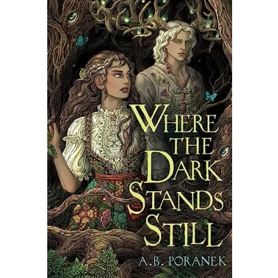 Afbeelding van Where the Dark Stands Still