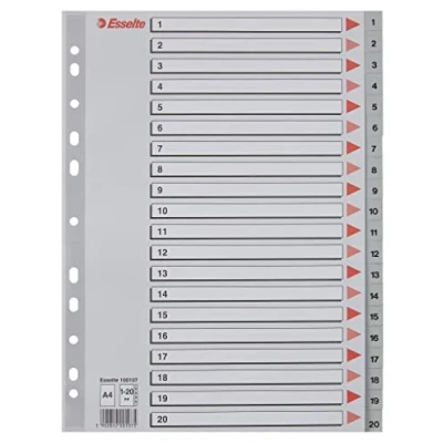 Afbeelding van Esselte Register A4 toetsen 1 20, extra groot, grijs, versterkte tabbladen van robuust kunststof, met inhoudsopgave, 100107