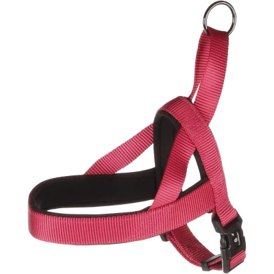 Afbeelding van Flamingo Abbi Noors Harnas Honden Kersenrood Xs 35 42cm 20mm 1st 190649