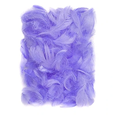 Image de Netuno 150 plumes décoratives violettes 10g duveteuses d&#039;oiseaux naturelles pour loisirs créatifs bricolage décorations de fêtes attrape rêves fabrication masques
