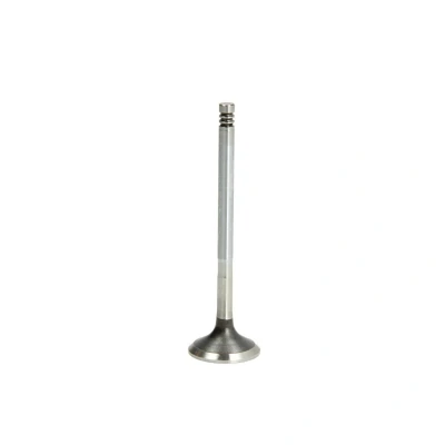 Afbeelding van Uitlaatklep FRECCIA R6003/BMCR