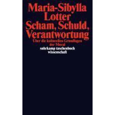 Afbeelding van Scham, Schuld, Verantwortung