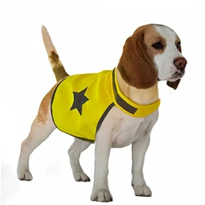 Afbeelding van Duvoplus Kledingaccessoire Voor Dieren Hond Veiligheidsjasje Fluo M: 48cm Neon Geel 1st