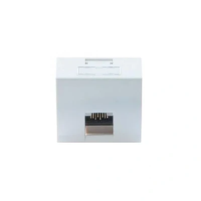 Image de DEXLAN Plastron 45X45 incline 30 1 port RJ45 cat 6 stp