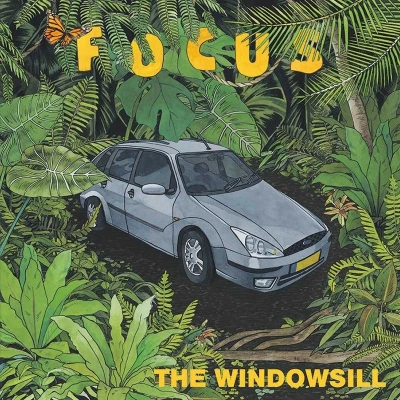 Afbeelding van The Windowsill Focus (LP)