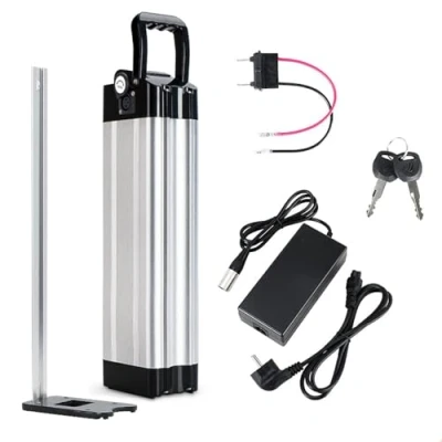 Afbeelding van Pedelec E Bike accu 36 V 21 Ah, geschikt voor motoren 250 W/350 W/500 W/750 W, Moma fiets MiFa Rex Aldi, kan overeenkomen met Phylion/XH370 10J oplader