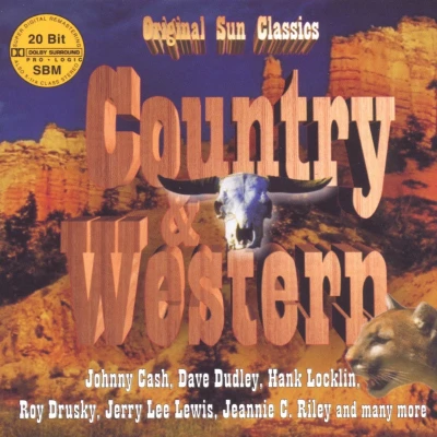 Afbeelding van Various Artists Country &amp; Western (2 CD)