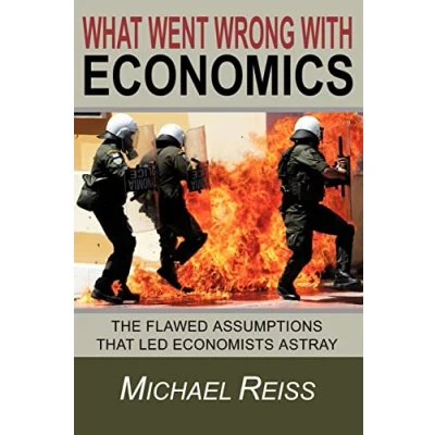 Afbeelding van What Went Wrong with Economics