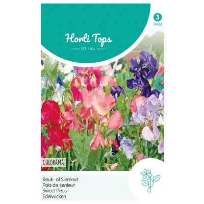 Afbeelding van Lathyrus multiflora Colorama gemengd Hortitops
