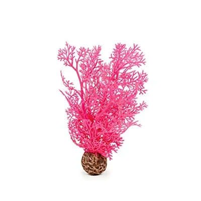 Afbeelding van Hoornkoraal klein pink biOrb