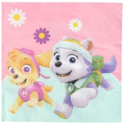 Image de Paw Patrol Skye et Everest Napkins 33x33cm
