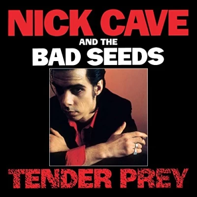 Afbeelding van Nick Cave &amp; Bad Seeds Tender Prey