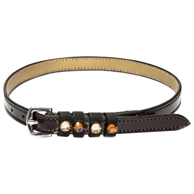 Image de Spur strap leather Pardouz